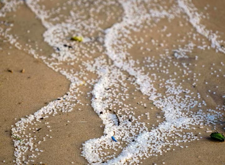 マイクロプラスチックが体内を彷徨う!?
