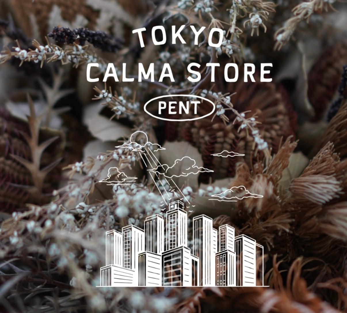 News – – calma store Japan