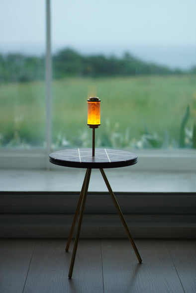 FLYING DISK & BRASS LEG