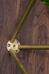 FLYING DISK & BRASS LEG
