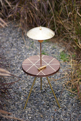 FLYING DISK & BRASS LEG