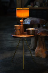 FLYING DISK & BRASS LEG