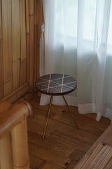 FLYING DISK & BRASS LEG