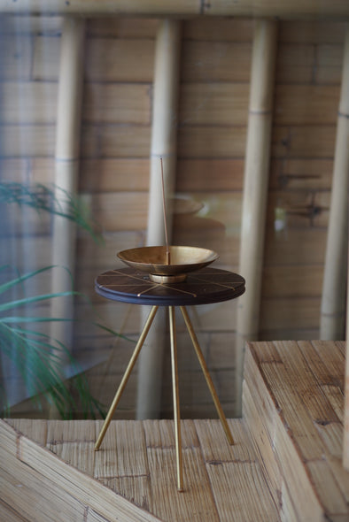 FLYING DISK & BRASS LEG