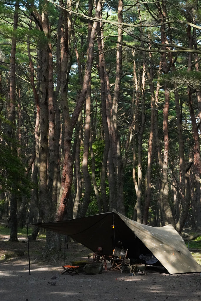 H.A.K.U×MAICO×CALMA STORE BIRD HAUS UNAK