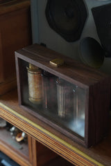 A TREASURE BOX WALNUT