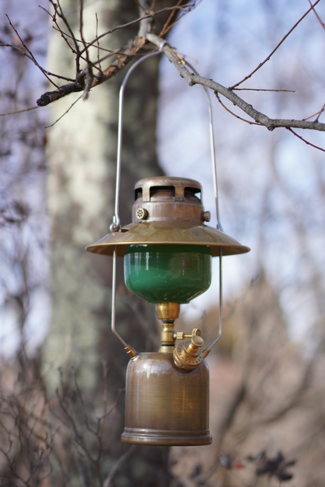 DSC02551_1080x.jpg?v=1704101633