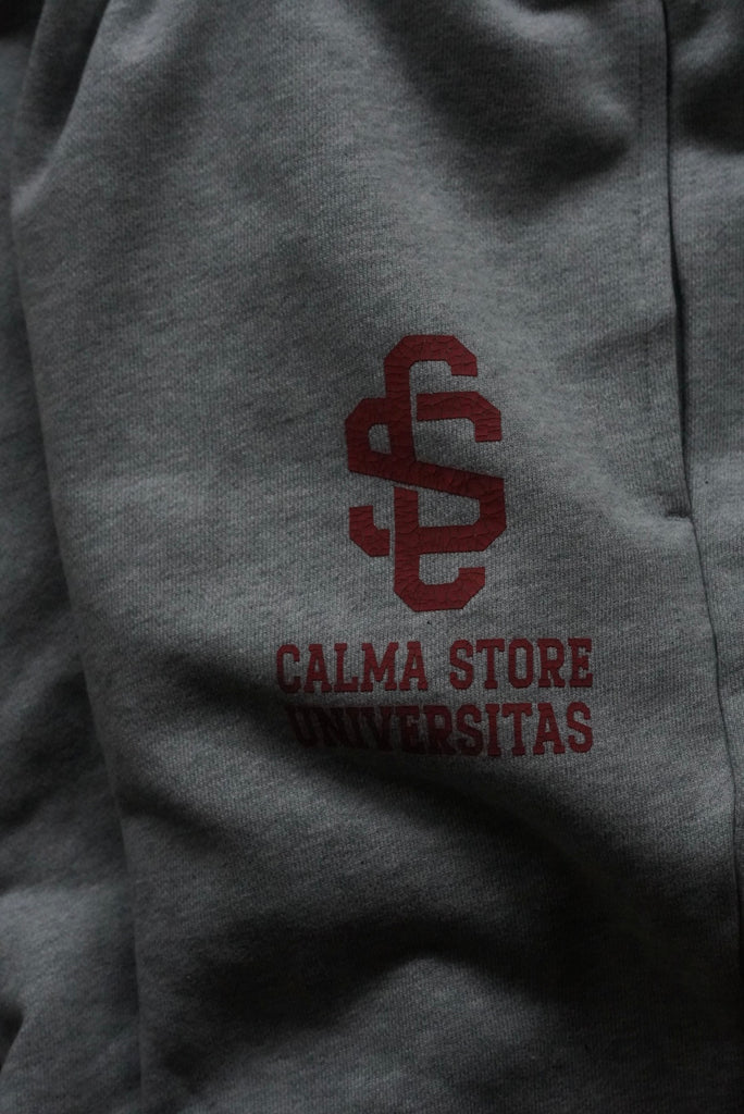 Calma store hoodie （GRAY）
