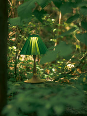 FOGLOW WOOD STAND WALNUT